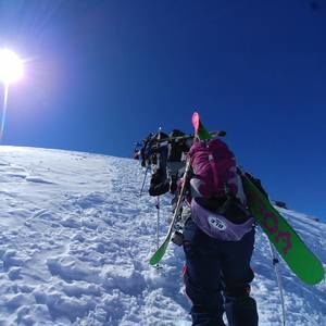 Meet your Posher, Alisyn